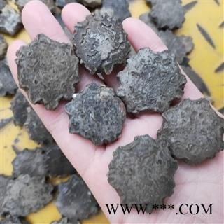 木鳖子 新到新货木鳖子货真价实 产地 广西壮族自治区图2