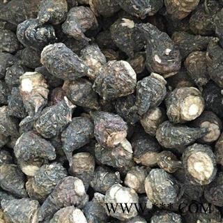 玛咖 统 产地 云南省丽江市玉龙纳西族自治县图2