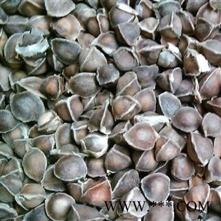 辣木籽 选 质量好 价格低 产地 海外图2