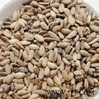 水飞蓟 选 水飞蓟 产地 辽宁 德誉堂药业批发各种中药材图2