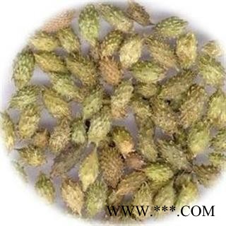 苍耳子 选 苍耳子 产地 黑龙江省德誉堂药业批发各种中药材图4