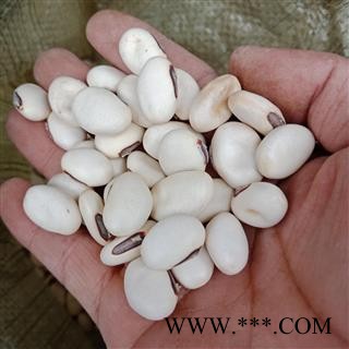 丽丽药业 白豆刀豆 中药材批发 正品保证实图拍照7天无理由退货退款图3