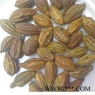 正品 诃子 柯子 德誉堂药业批发各种中药材 花果茶 矿石图3