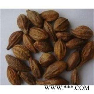 正品 诃子 柯子 德誉堂药业批发各种中药材 花果茶 矿石图2