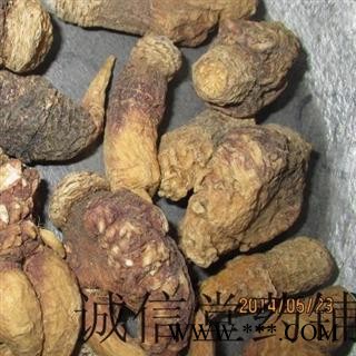 玛卡 紫玛咖 统 产地 云南省丽江市  德誉堂批发各种中药材图3