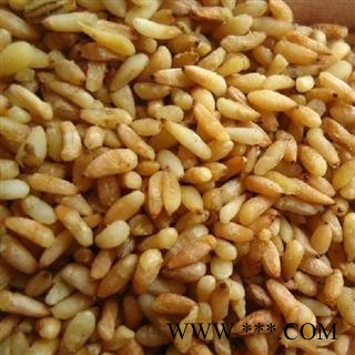 德誉堂药业 柏子仁 98货 选柏子仁 产地 山东省图3