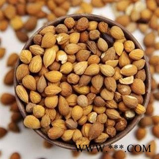 郁李仁统货正品保证质量 中药材批发 丽丽药业图2