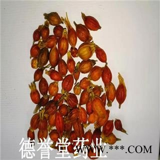 栀子 选  野生小栀子 产地 江西省  德誉堂批发各种中药材图3