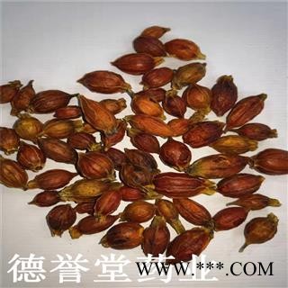 栀子 选 栀子 产地 江西省 德誉堂批发各种中药材图4