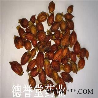 栀子 选 栀子 产地 江西省 德誉堂批发各种中药材图2