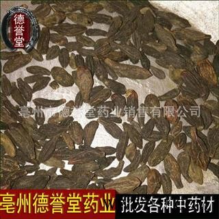 德誉堂药业 西青果 选 藏青果 产地 四川省图4