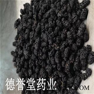 桑葚子 选 桑葚子 产地 新疆 批发各种中药材图3