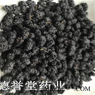 桑葚子 选 桑葚子 产地 新疆 批发各种中药材图2