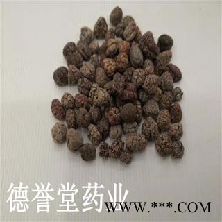 德誉堂药业阳春砂仁 正品阳春砂仁米 选 产地 广东阳春市图3