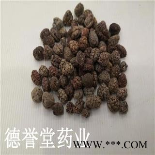 德誉堂药业阳春砂仁 正品阳春砂仁米 选 产地 广东阳春市图2