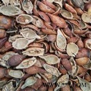 金樱子 金樱子肉后期选货去核率98%以上 颜色好 无硫 品质好 价格低 包药检 产地 江西省图2