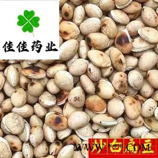 白扁豆 炒扁豆 炒白扁豆选货 实物图 新货 无虫蛀 产地 海外图3