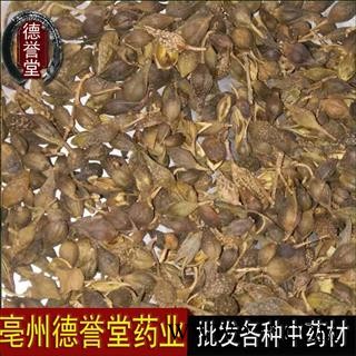 青翘 统货 青翘  产地 山西省 本店批发各种中药材图4