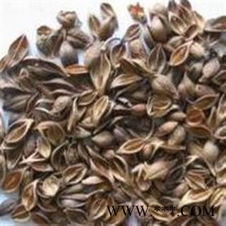 青翘 统货 青翘  产地 山西省 本店批发各种中药材图3