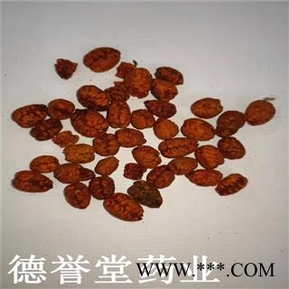 栀子 栀子仁 栀子肉 手工剥壳 德誉堂批发各种中药材图3