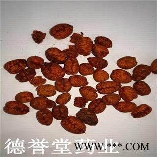 栀子 栀子仁 栀子肉 手工剥壳 德誉堂批发各种中药材图4