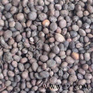 急性子 选 急性子 产地 河南省 德誉堂药业批发各种中药材图3