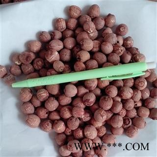 红莲米 抽芯 红圆莲 产地 湖南省 德誉堂药业批发各种中药材图2