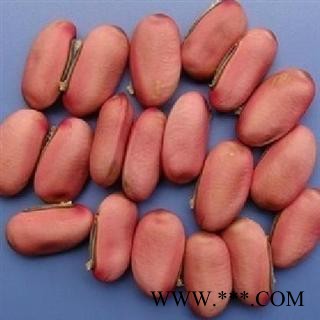 刀豆 选 刀豆  产地 湖北省 德誉堂药业批发各种中药材图2