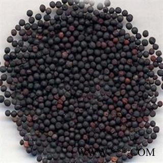 王不留行 统货 王不留 产地 安徽省 本店批发零售各种中药材图2