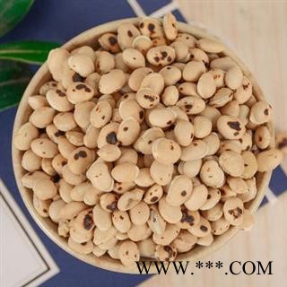 炒白扁豆 每一颗都是精挑细选正品保证质量7天无理由退货退款 中药材批发丽丽药业图3