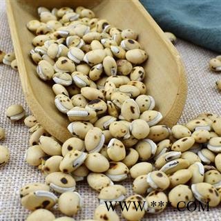 炒白扁豆 每一颗都是精挑细选正品保证质量7天无理由退货退款 中药材批发丽丽药业图2
