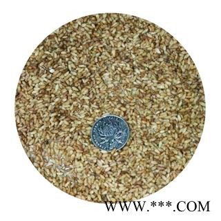 德誉堂药业柏子仁  柏子仁 产地 山东省 本店批发各种中药材图4