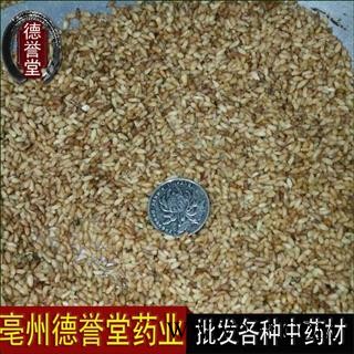 德誉堂药业柏子仁  柏子仁 产地 山东省 本店批发各种中药材图2