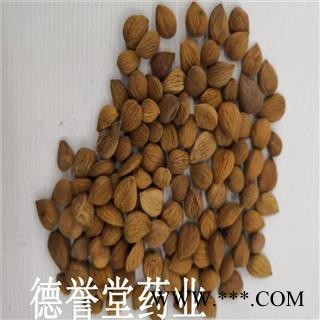 苦杏仁 选 苦杏仁 产地 内蒙 本店批发零售各种中药材图2