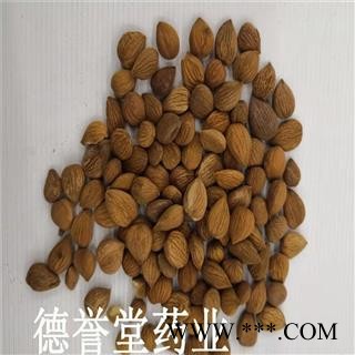 苦杏仁 选 苦杏仁 产地 内蒙 本店批发零售各种中药材图3