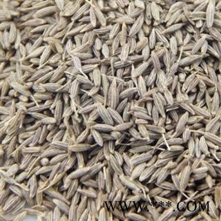 孜然 选孜然 批发中药材 香料 花茶 矿石 产地 广西壮族自治区图3