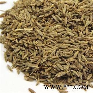 孜然 选孜然 批发中药材 香料 花茶 矿石 产地 广西壮族自治区图2