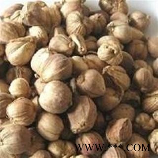 白豆蔻 选 白蔻 产地 广西 德誉堂药业批发各种中药材图2