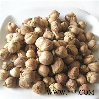 白豆蔻 选 白蔻 产地 广西 德誉堂药业批发各种中药材图4