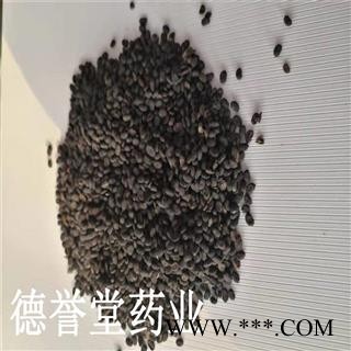 补骨脂 选 补骨脂  产地 云南省 批发各种中药材图3