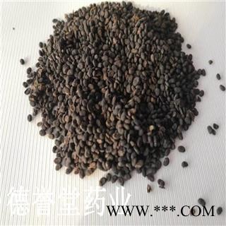 补骨脂 选 补骨脂  产地 云南省 批发各种中药材图2