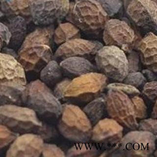 鸭胆子 选 鸦胆子 产地 内蒙古 德誉堂药业批发各种中药材图3