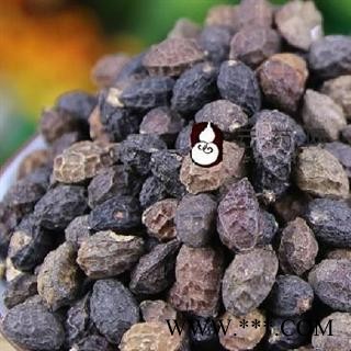 鸭胆子 选 鸦胆子 产地 内蒙古 德誉堂药业批发各种中药材图2