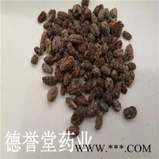 德誉堂药业 砂仁米 大统 砂仁米 批发各种中药材图3