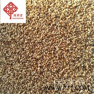 柏子仁 纯净选货 实物拍摄 国药堂 专注品质 产地 山东省图2