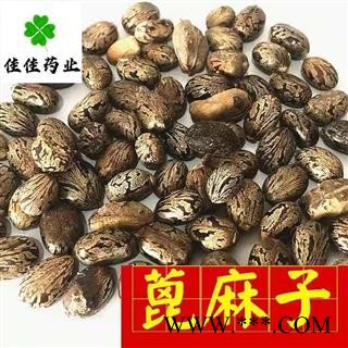 蓖麻子 选装 大麻子 供应各种中药材 冷背货 矿石等 品种齐全 产地 安徽省图4