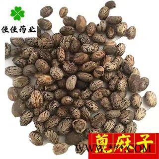 蓖麻子 选装 大麻子 供应各种中药材 冷背货 矿石等 品种齐全 产地 安徽省图3