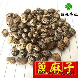 蓖麻子 选装 大麻子 供应各种中药材 冷背货 矿石等 品种齐全 产地 安徽省图2