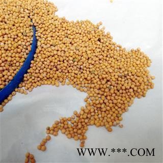 白芥子 白芥子净货 产地 四川省 国药堂 专注品质图2