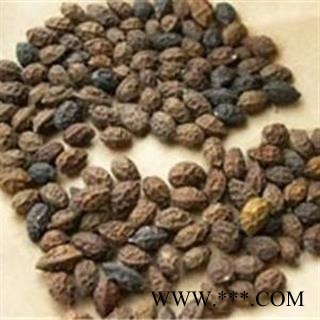 鸦胆子统货正品保证质量7天无理由退货退款 中药材批发 丽丽药业图3